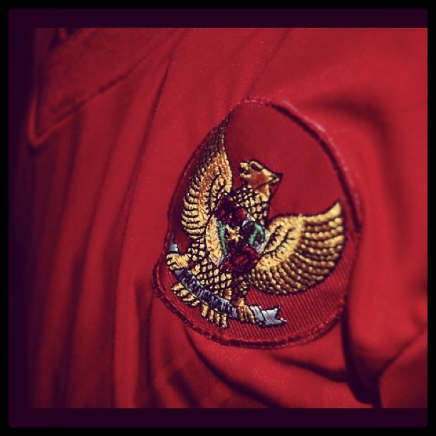 Detail Gambar Garuda Di Dadaku Nomer 11