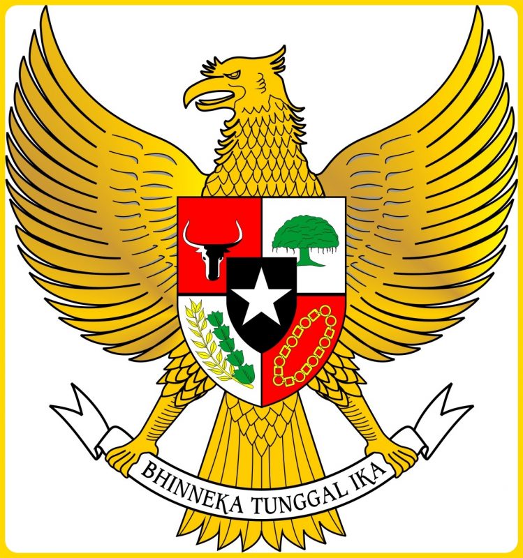 Detail Gambar Garuda Mewarnai Nomer 19