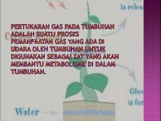 Detail Gambar Gas Tumbuhan Nomer 10