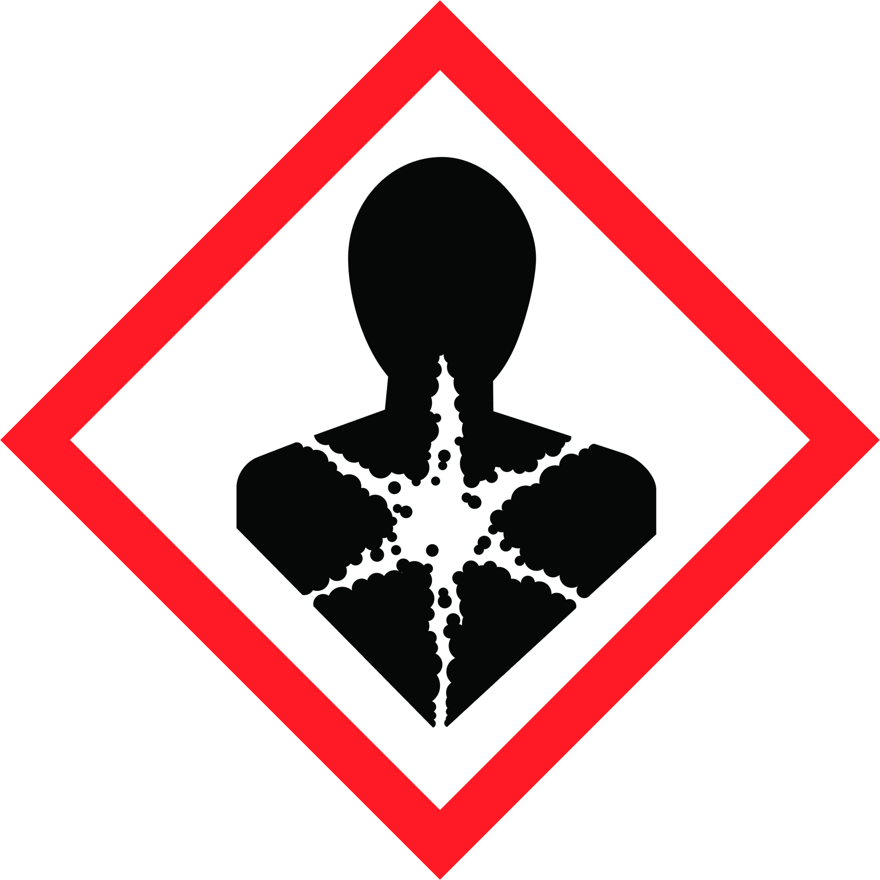 Detail Totenkopf Warnzeichen Nomer 12