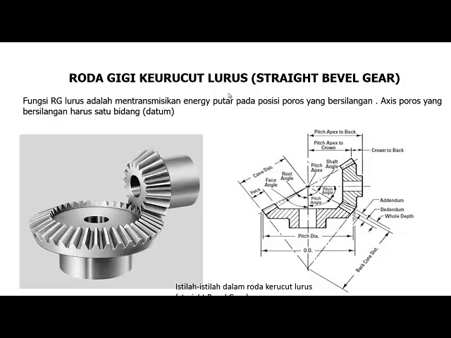 Detail Gambar Gear Lurus Nomer 17