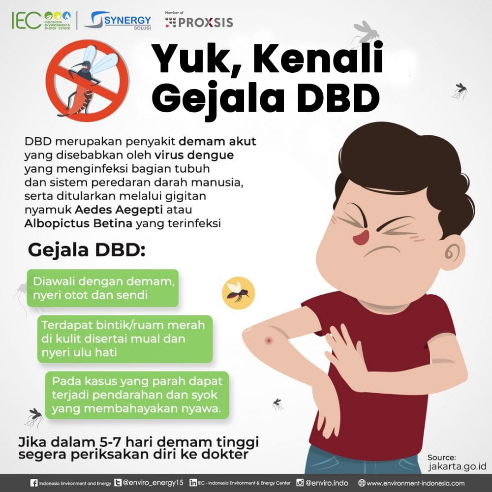 Gambar Gejala Dbd - KibrisPDR