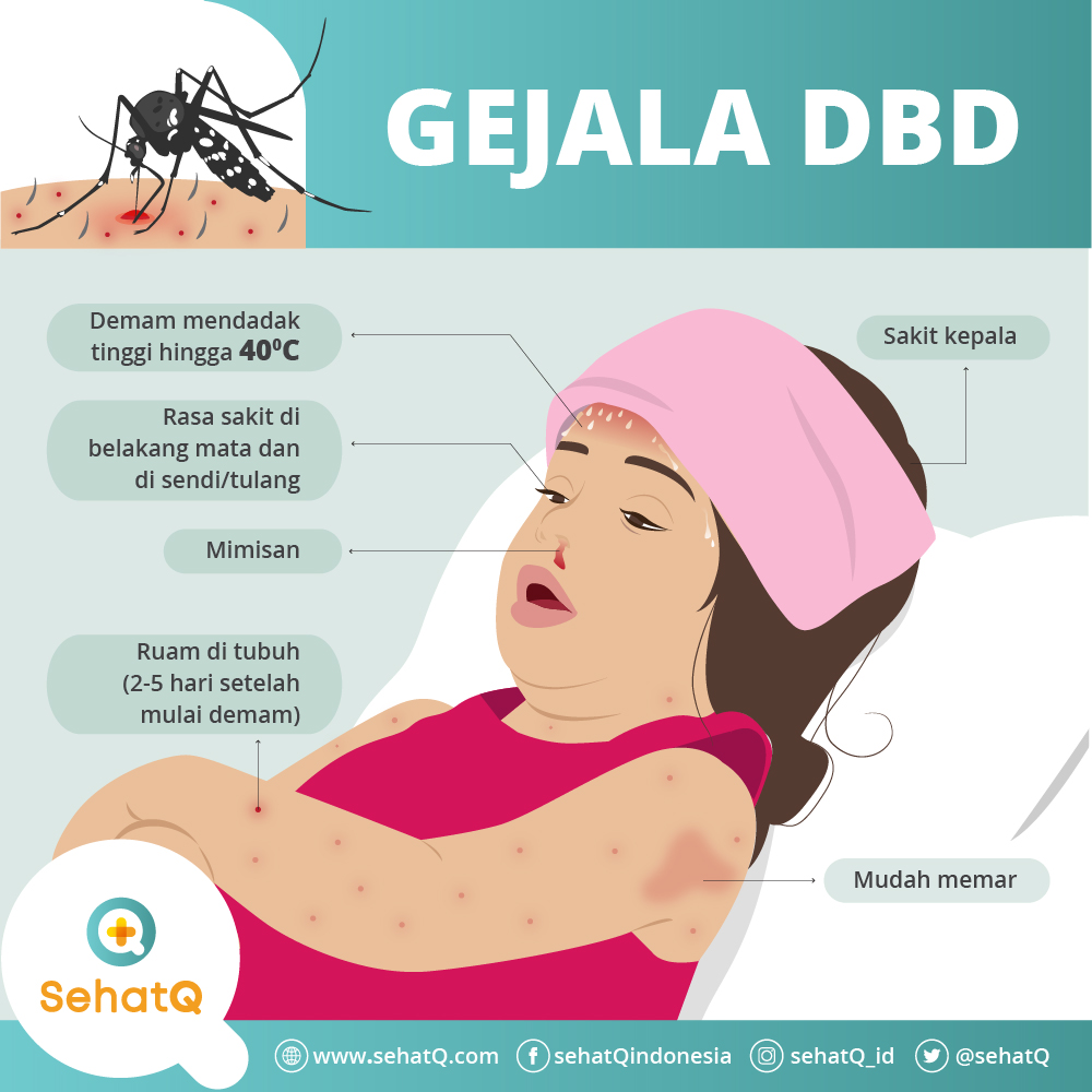 Detail Gambar Gejala Dbd Nomer 2