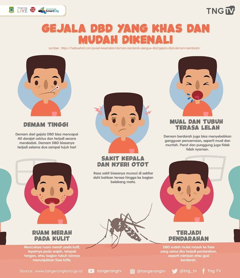 Detail Gambar Gejala Dbd Nomer 17