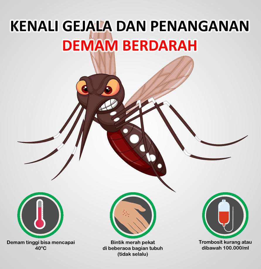 Detail Gambar Gejala Dbd Nomer 22