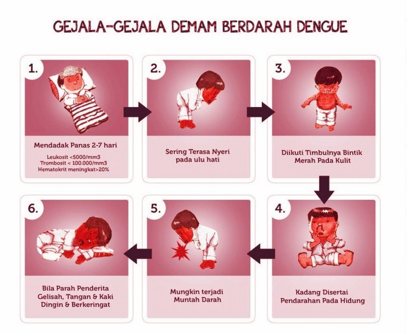Detail Gambar Gejala Dbd Nomer 4