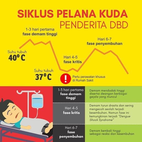 Detail Gambar Gejala Dbd Nomer 8
