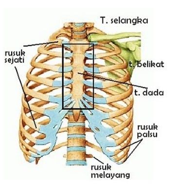 Detail Gambar Gelang Bahu Nomer 13