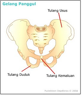 Detail Gambar Gelang Bahu Nomer 9