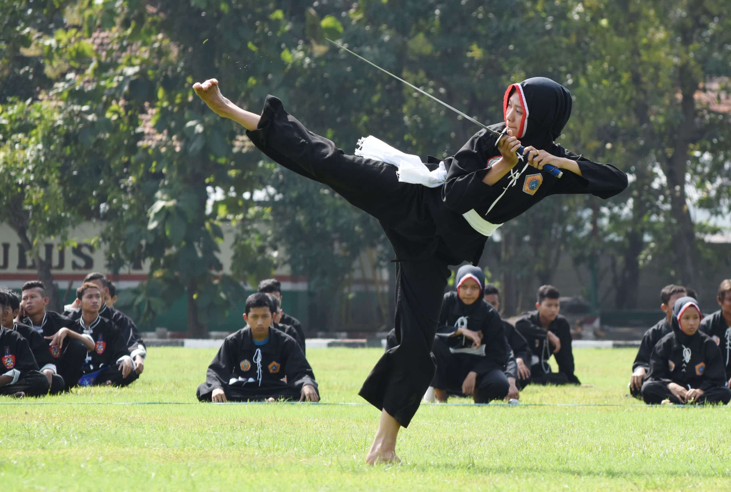 Detail Gambar Gelanggang Sabung Pencak Silat Nomer 24