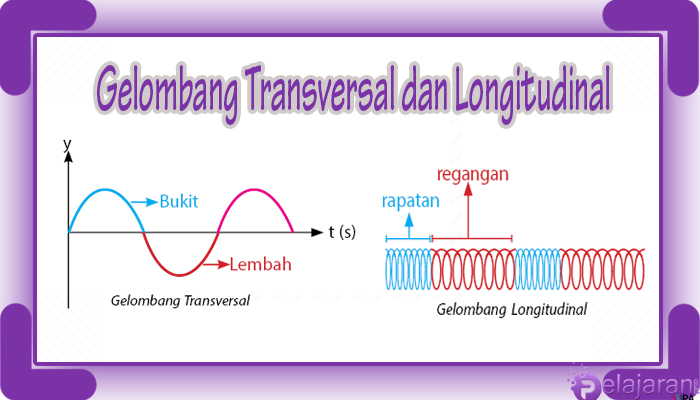 Gambar Gelombang Transversal Dan Longitudinal - KibrisPDR