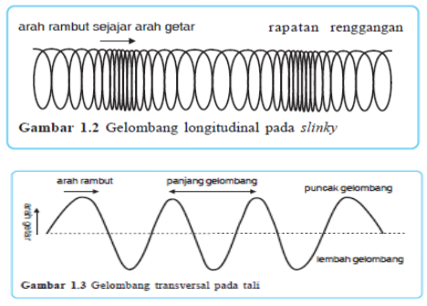 Detail Gambar Gelombang Transversal Dan Longitudinal Nomer 2