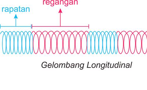 Detail Gambar Gelombang Transversal Dan Longitudinal Nomer 12