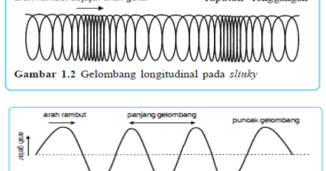 Detail Gambar Gelombang Transversal Dan Longitudinal Nomer 17