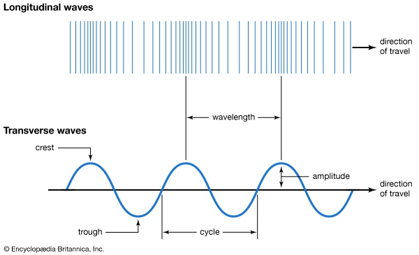Detail Gambar Gelombang Transversal Dan Longitudinal Nomer 21