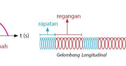 Detail Gambar Gelombang Transversal Dan Longitudinal Nomer 27