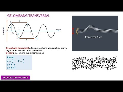 Detail Gambar Gelombang Transversal Dan Longitudinal Nomer 4