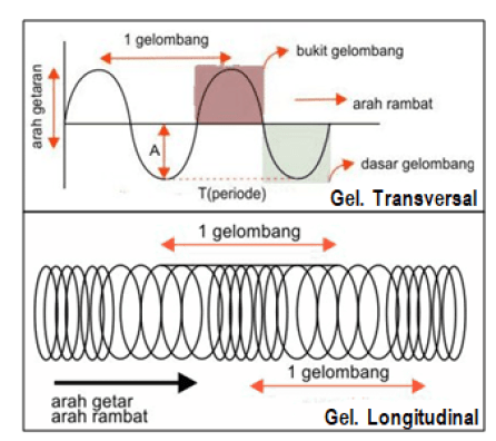 Detail Gambar Gelombang Transversal Dan Longitudinal Nomer 28