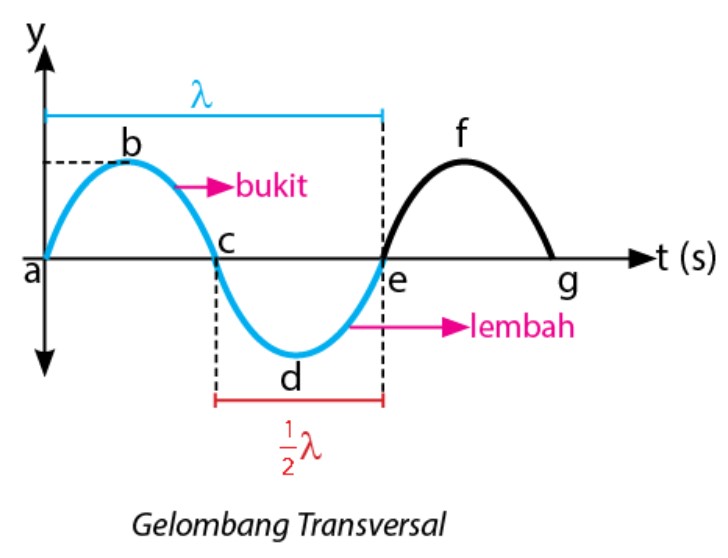 Detail Gambar Gelombang Transversal Dan Longitudinal Nomer 40