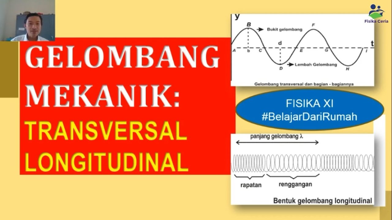 Detail Gambar Gelombang Transversal Dan Longitudinal Nomer 43