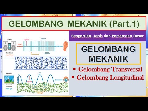 Detail Gambar Gelombang Transversal Dan Longitudinal Nomer 46