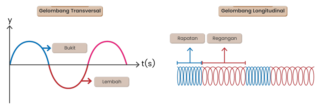 Detail Gambar Gelombang Transversal Dan Longitudinal Nomer 48