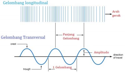 Detail Gambar Gelombang Transversal Dan Longitudinal Nomer 7