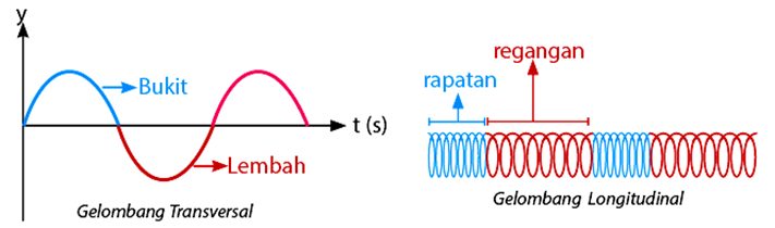 Detail Gambar Gelombang Transversal Dan Longitudinal Nomer 10