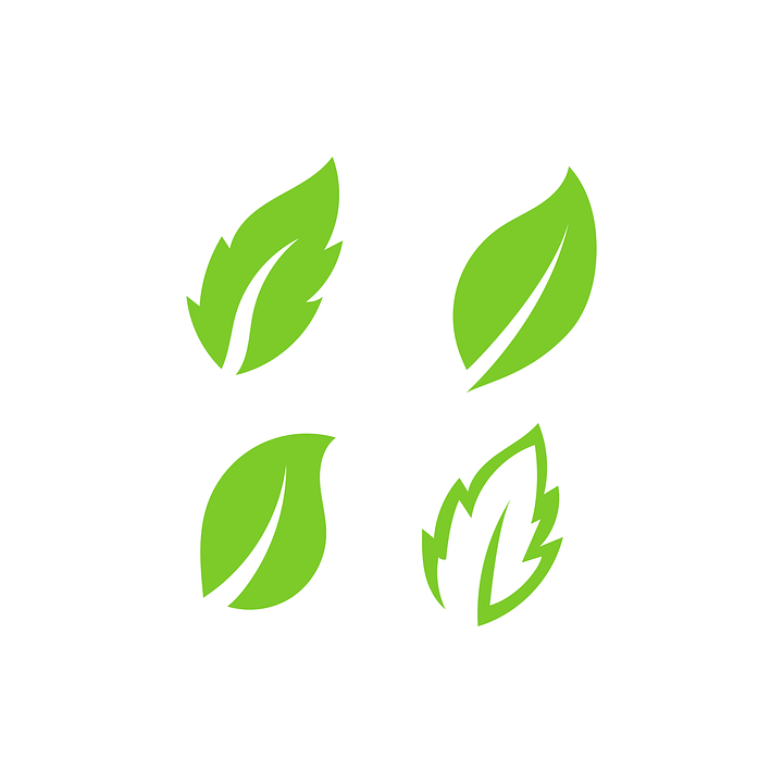 Detail Logo Blatt Nomer 6