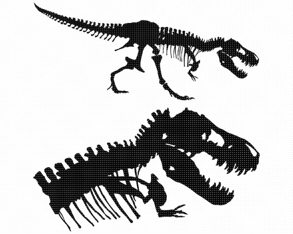 Skelett Dino - KibrisPDR