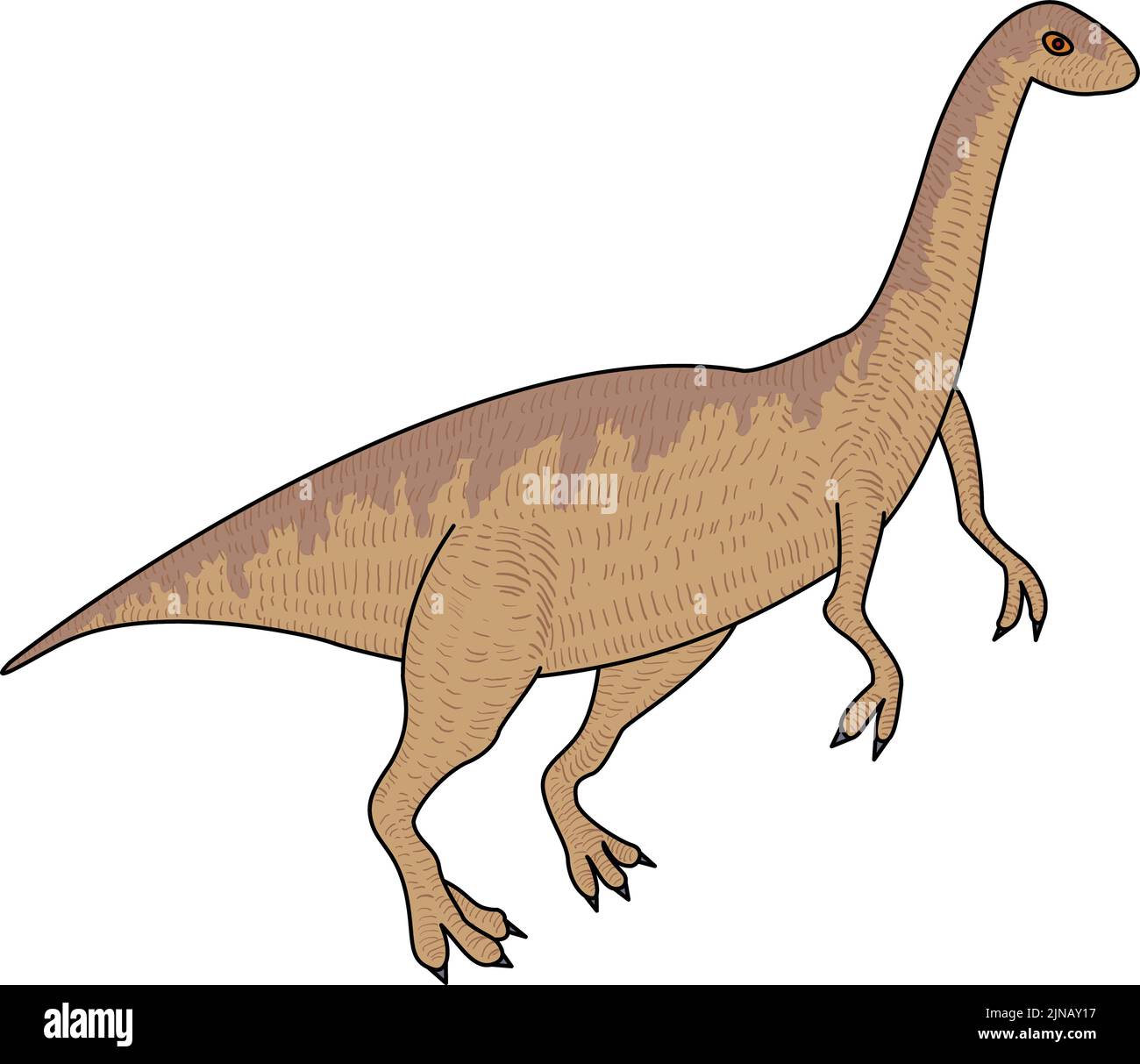 Detail Skelett Dino Nomer 13