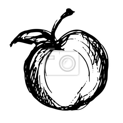Apfel Skizze - KibrisPDR