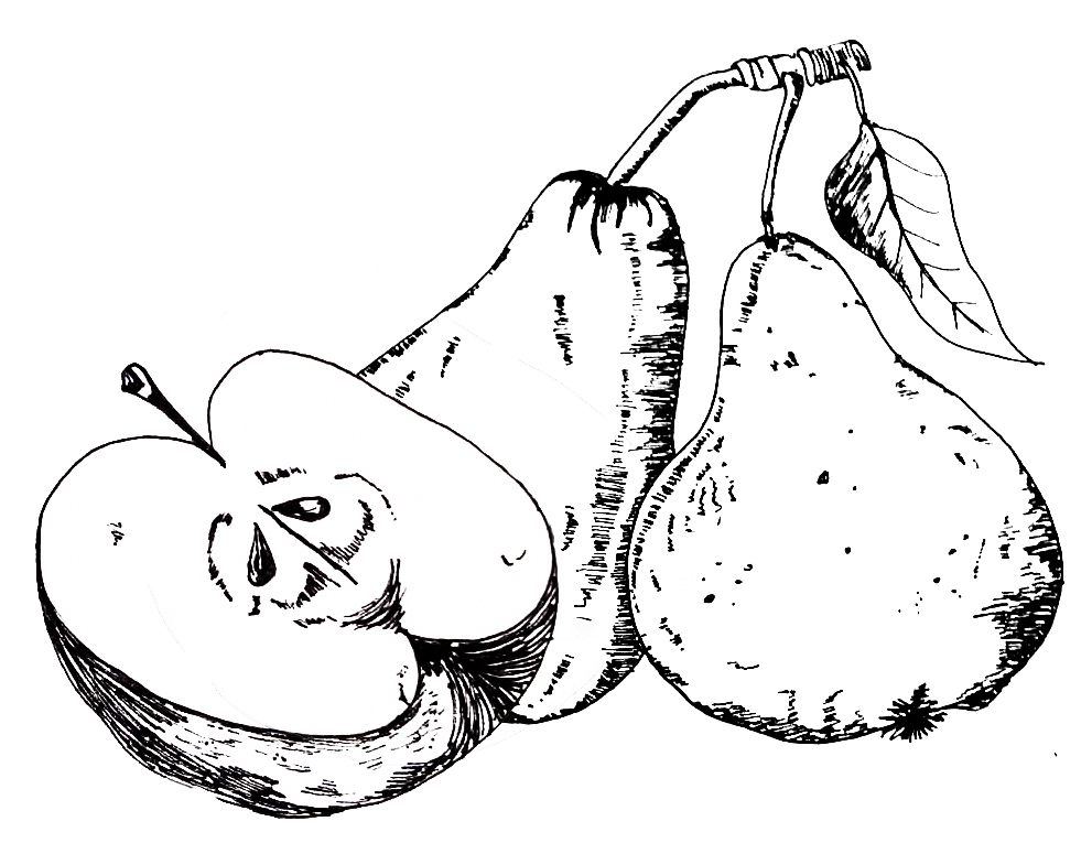 Detail Apfel Skizze Nomer 21