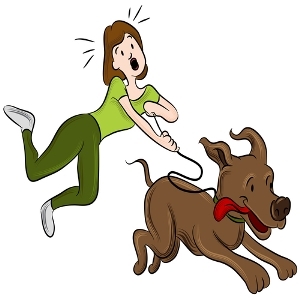 Detail Dog Walking Cartoon Pictures Nomer 20