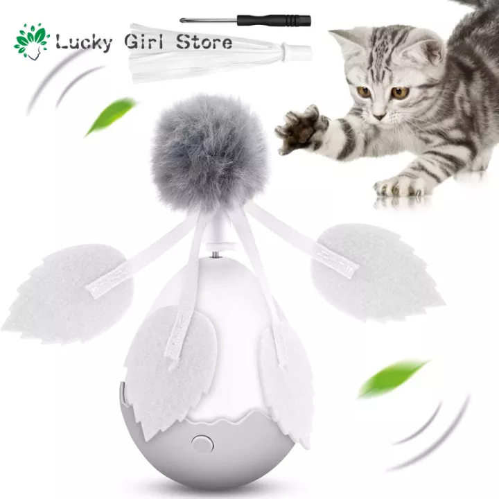 Detail Gambar Gerak Kucing Nomer 26