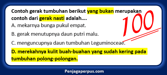Gerak Nasti Ditunjukkan Oleh Nomor Gambar Gerak Nasti - 55+ Koleksi Gambar