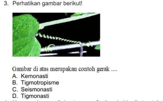 Detail Gambar Gerak Tigmotropisme Nomer 12