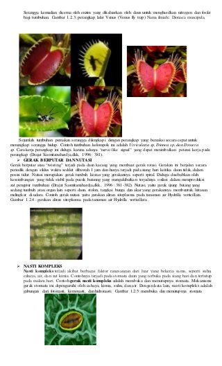 Detail Gambar Gerak Tumbuhan Yang Dipengaruhi Oleh Suara Nomer 21