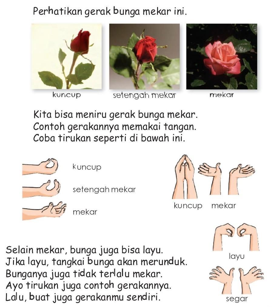 Detail Gambar Gerakan Bunga Mawar Nomer 3
