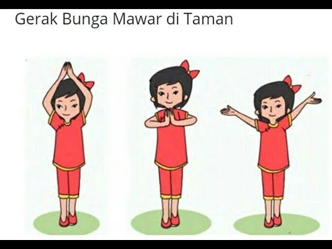 Detail Gambar Gerakan Bunga Mawar Mekar Nomer 3