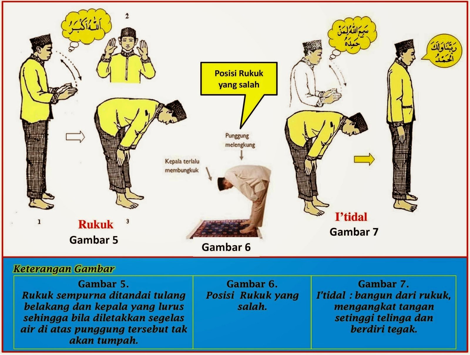 Detail Gambar Gerakan Iktidal Nomer 3