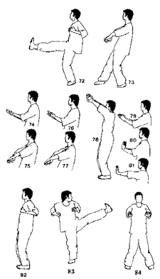 Gambar Gerakan Wing Chun - KibrisPDR