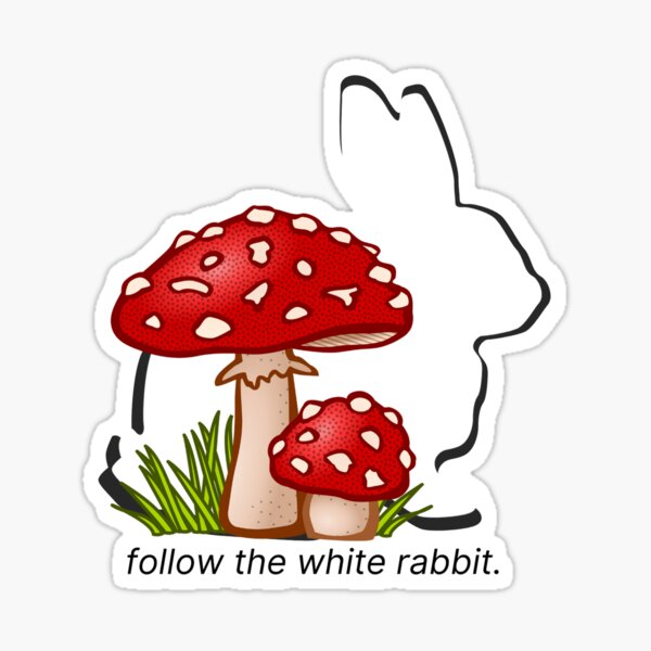 Detail White Rabbit Essen Nomer 16