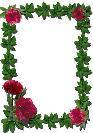 Floral Frame Psd - KibrisPDR