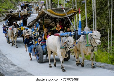 Detail Gambar Gerobak Sapi Nomer 32