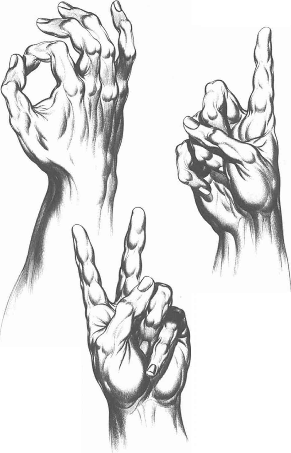 Detail Gambar Gesture Gesture Drawing Nomer 50