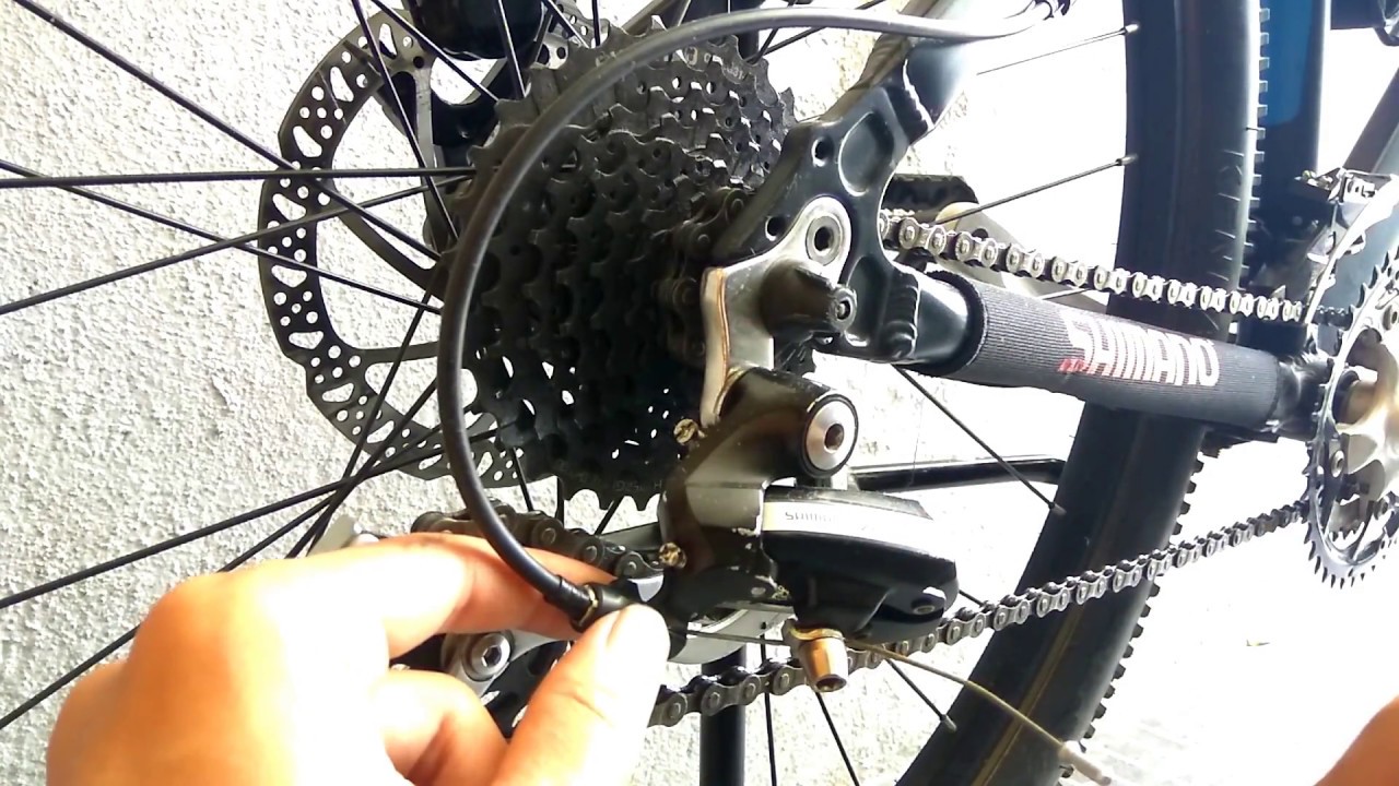 Detail Gambar Gigi Sepeda Nomer 5