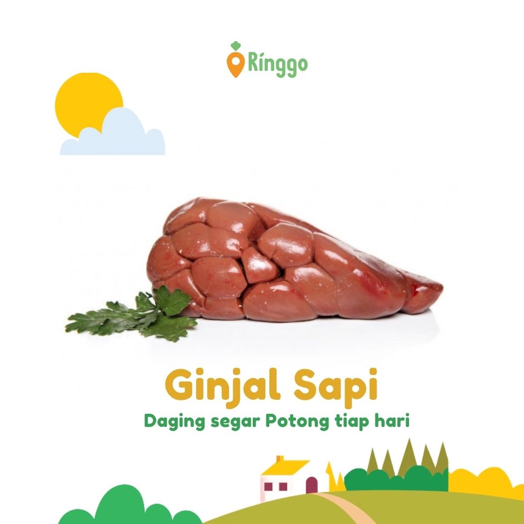 Detail Gambar Ginjal Sapi Nomer 34