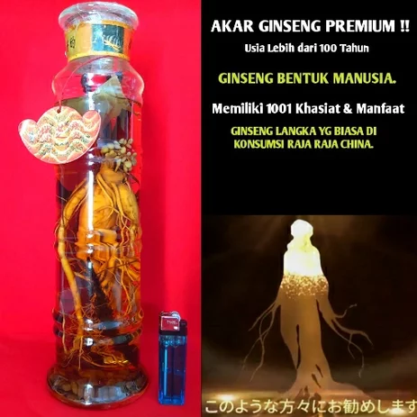 Detail Gambar Ginseng Korea Nomer 47