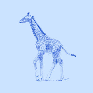Detail Gambar Giraffe Nomer 23